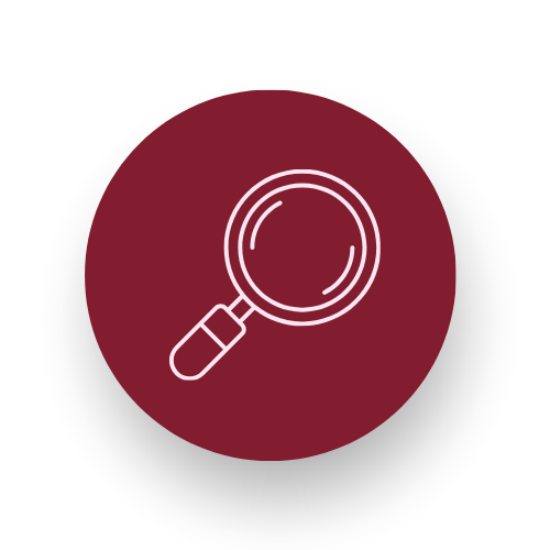Discovery & Audit